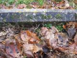 image of grave number 291643